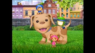 Buster The Lost Dog Starting