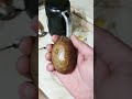 Раздавил сырую 🥔 картошку)))