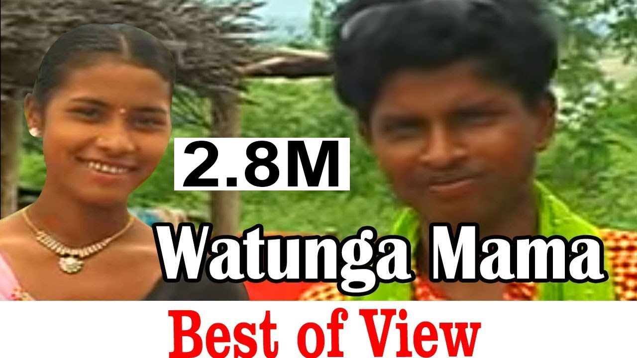 Watunga Mama ( Gondi Geet ) | Pandurang Meshram | New Gondi Song