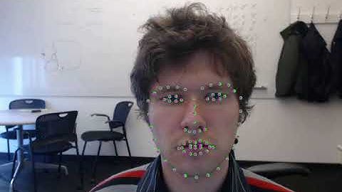 Face landmarks stabilization