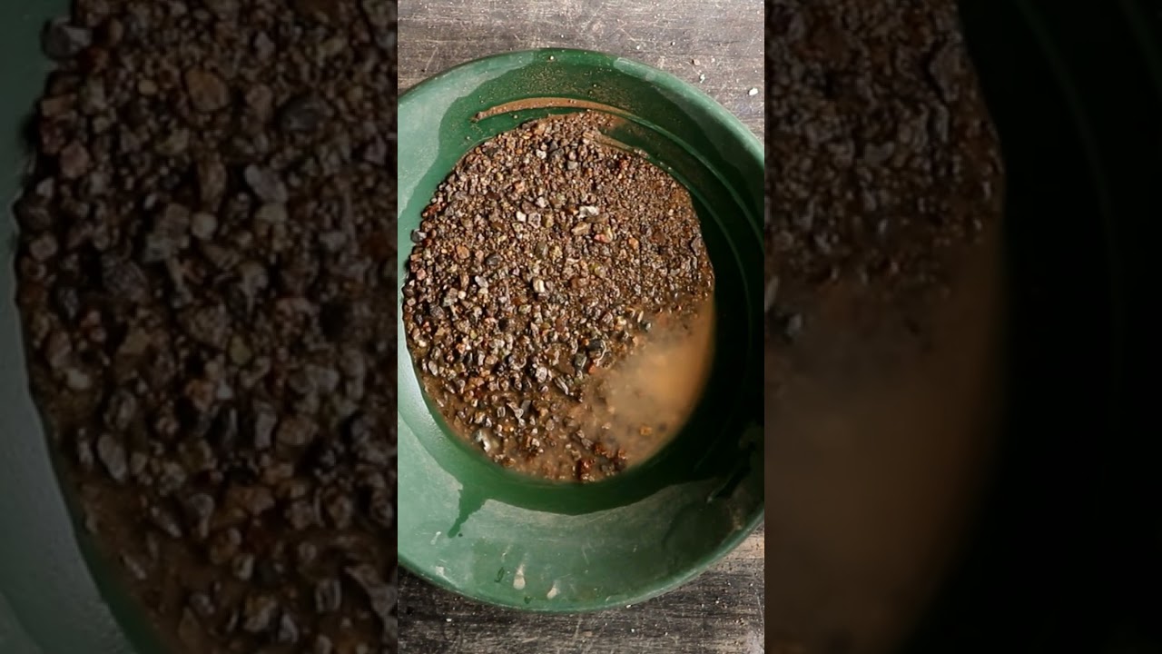 Montana Prospector Gold Nugget Paydirt 