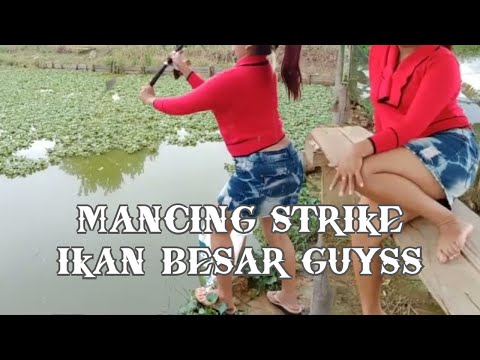 mancing stike ikan besar guys - fishing ya mancing