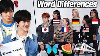 Koreans Compare Extream Word Around The World! l FT. LUN8wave l Word Differences