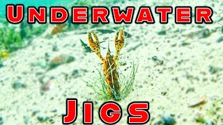How Does Your Jig Compare? **UNDERWATER FOOTAGE of Jigs and Jig Trailers**
