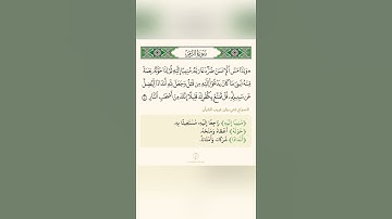 السراج في بيان غريب القران سورة الزمر تلاوة الشيخ سعد الغامدي