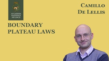 Camillo De Lellis (Institute for Advanced Study, Princeton): Boundary Plateau Laws