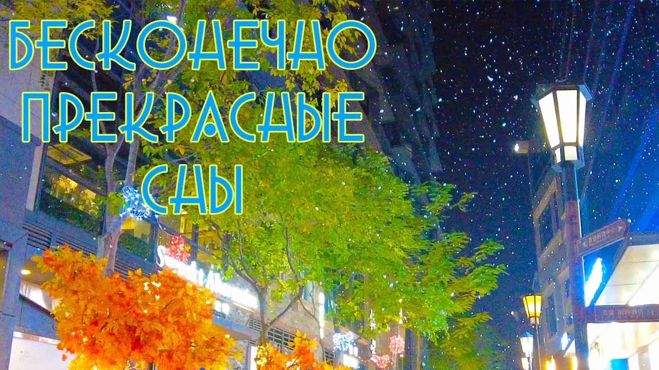 Бесконечно прекрасные сны