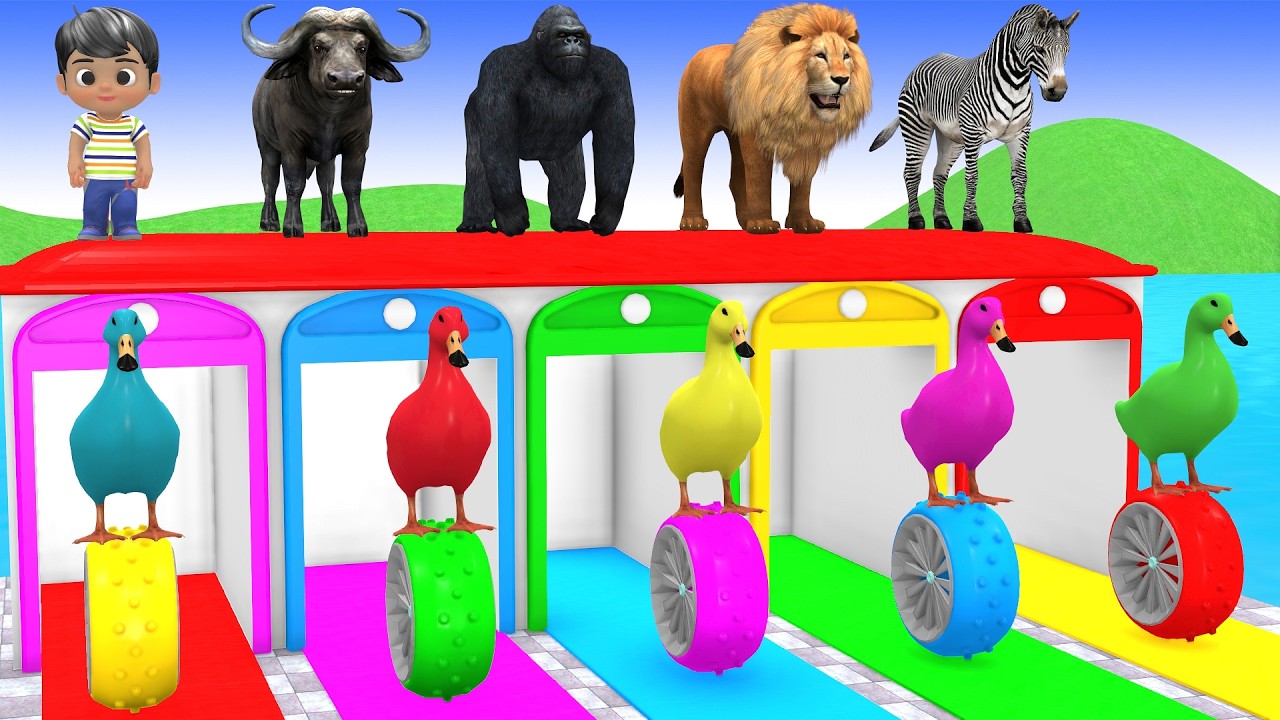 Elephant Gorilla Buffalo Hippopotamus Tiger in Long Slide Game With 3d Animals Funny 3d Animals Game