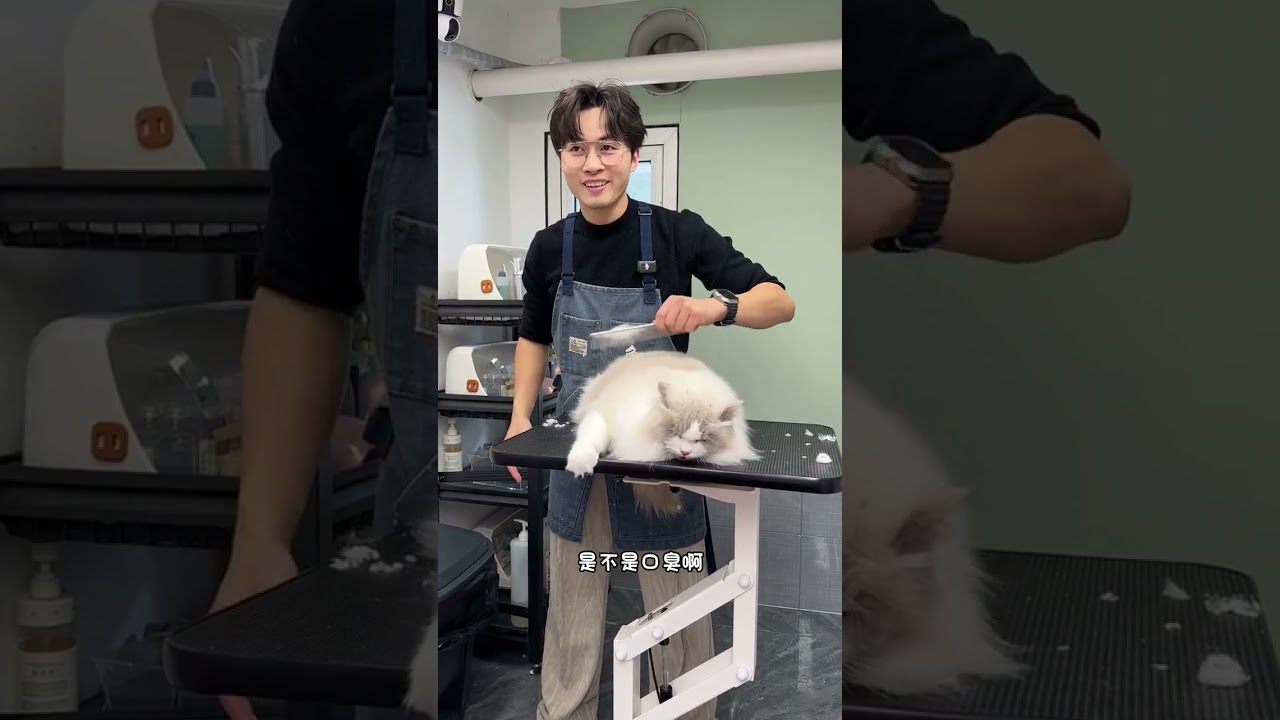 Lu Ban's Reunion: Another Giant Project Unveiled