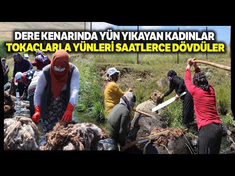 Erzurumlu Kadınların Yün Yıkama Dönemi Başladı