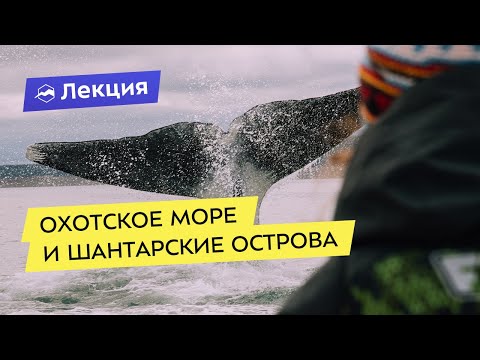 Охотское море и Шантарские острова