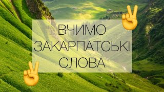 ✨ВЧИМО ЗАКАРПАТСЬКІ СЛОВА✨