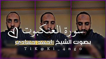 سورة العنكبوت بصوت الشيخ احمد حمادي