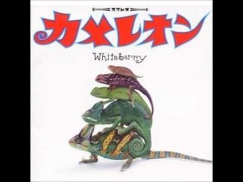 Whiteberry - Kakurenbo