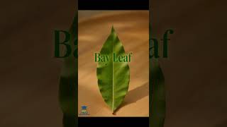 saffron, bay leaf, oregano, rosemary, basil.