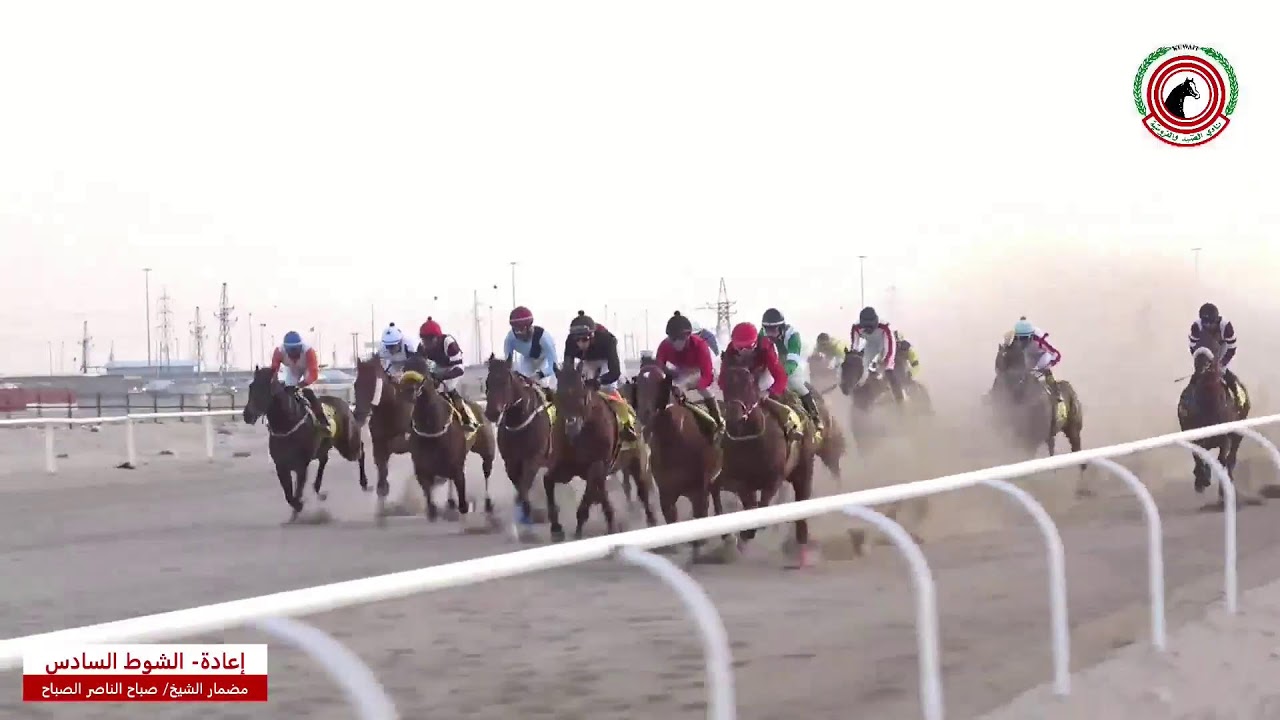 بث مباشر - مضمار الشيخ صباح الناصر الصباح - الأجتماع الثالث عشر -  لموسم 2024-2025