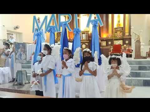 Video: Pre flores de mayo?