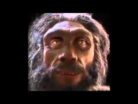 The evolution of human faces in Last 6 million years 2