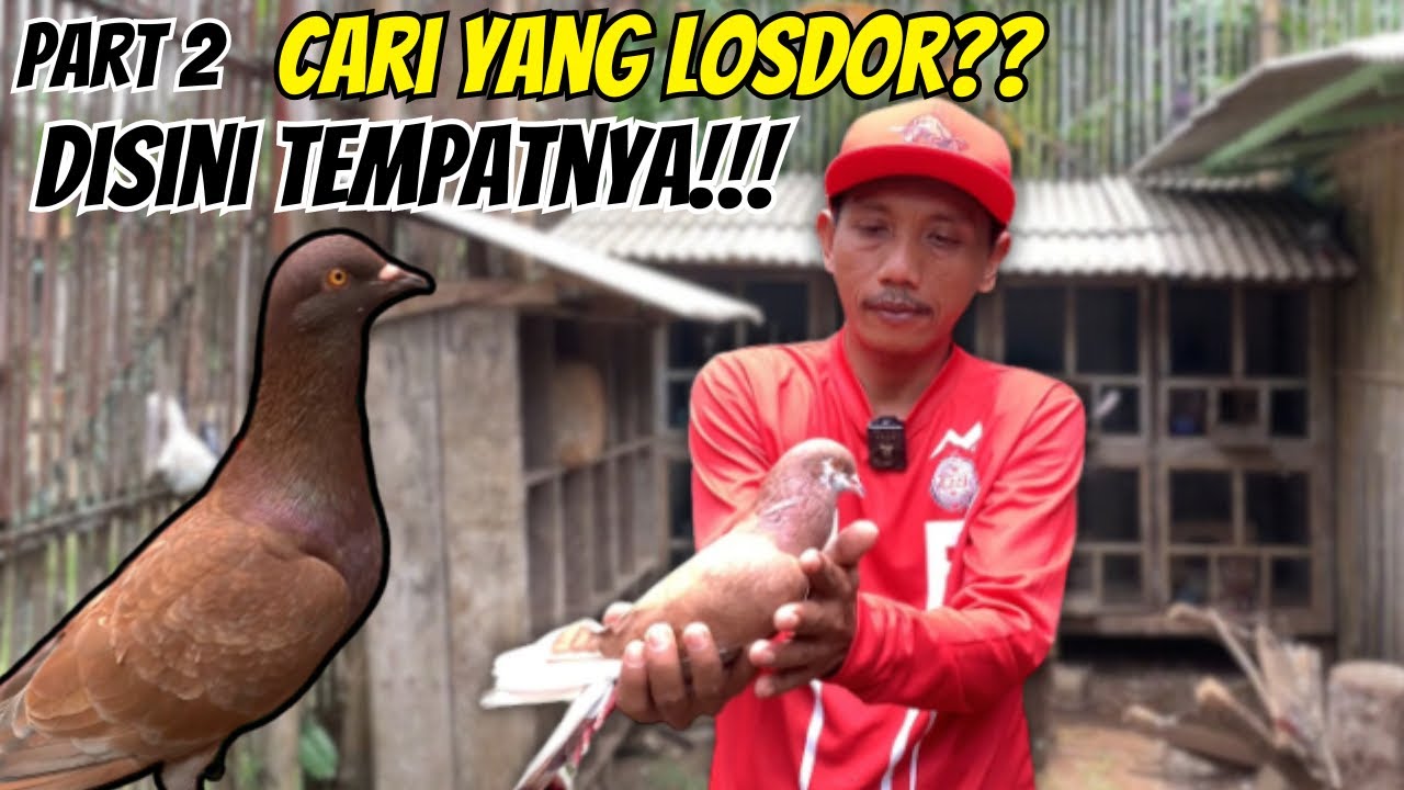 PART 2 RIVEW BIBITAN TEAM BTJ PANGANDARAN‼️