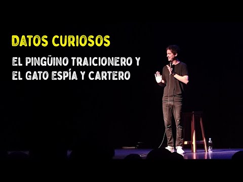 Datos Curiosos - El Pingüino Traicionero y el Gato Espía y Cartero (Freestyle con el Público)