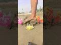 creative videography ideas 💡 with mobile 📲📱#funny #magic #videography #sorts