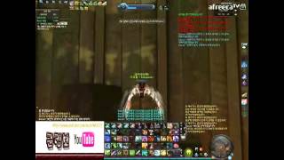 [군림보] AION 총사령관 살성 군림보 vs 궁성 고독의 투기장 영상 // vs Ranger Arena of Discipline PvP