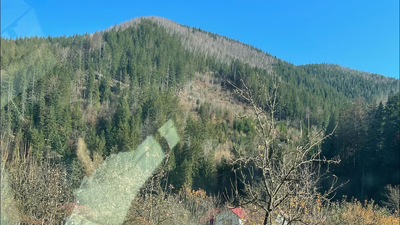 Ненсі українською-Чистий лист