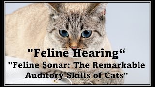 "Whiskers and Whisperers: Unraveling the Secrets of Cat's Hearing", Ears of Acuity