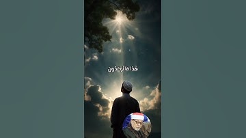 #تلاوة عطرة من القرآن الكريم بصوت الشيخ الجليل سيد سعيد#اسلاميات #راحة_نفسية #اكسبلور #لايك