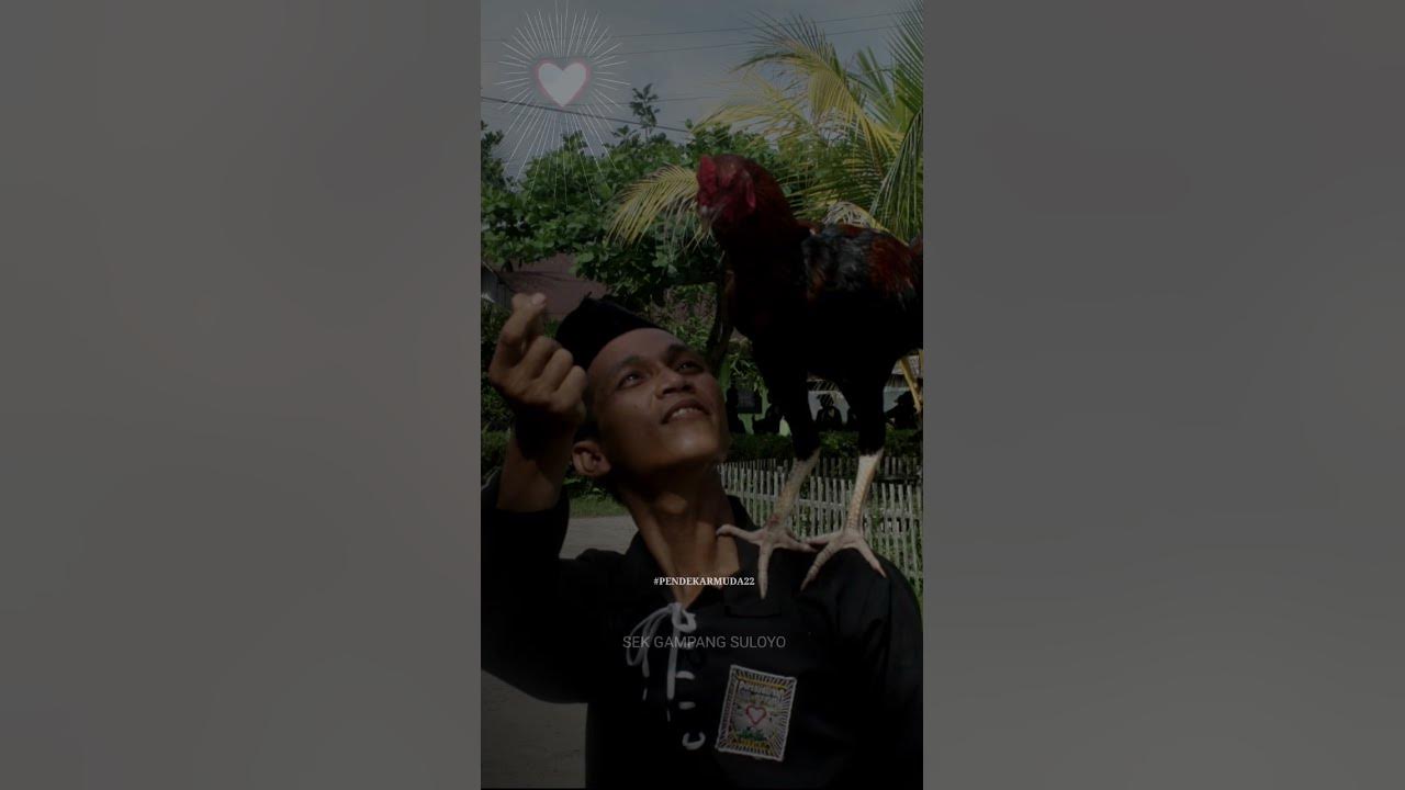 Kata Kata Motivasi SH TERATE