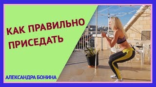 ►Ошибки при приседании. КАК ПРАВИЛЬНО ПРИСЕДАТЬ. Техника приседаний. Грамотный фитнес. ►Ошибки при приседании. КАК ПРАВИЛЬНО ПРИСЕДАТЬ. Техника приседаний. Грамотный фитнес.
