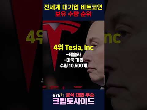 대기업 비트코인 보유 수량 순위!! #비트코인 #bitcoin #bitcoinnews #비트코인정보 #btc #비트코인실시간