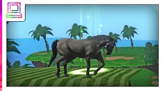 Horse Riding Simulator Android Gameplay (Horse Game) screenshot 5