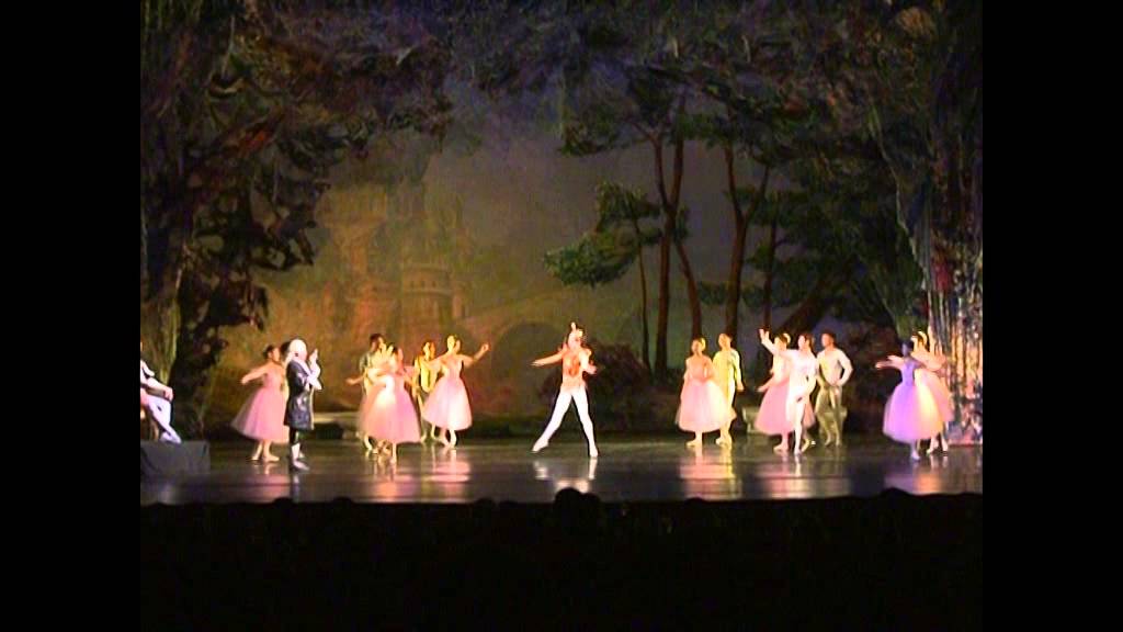 Swan lake  Joker A Erdenebold