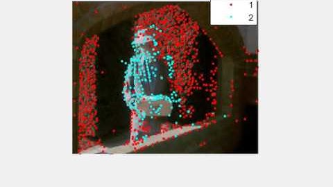 woman - Motion Segmentation Dense Randomized Voting