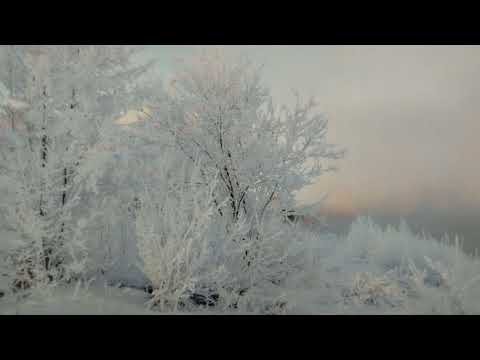 Дневник лишнего человека.