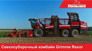 Работа свеклоуборочного комбайна Grimme Rexor 630