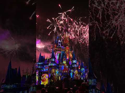 Video Everything to Know Before Visiting Disney World in August 2026!