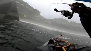 UNREAL HOUR of Fishing, Biggest Fish This Year, Center Hill Dam in a DOWNPOUR
