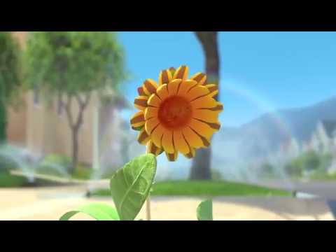 The Sunflower Motivational Short Film 2018