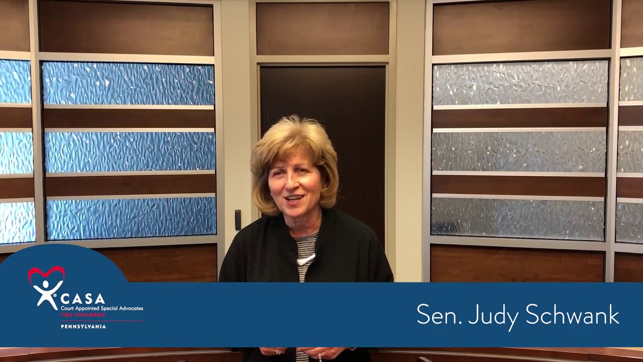 PA CASA Virtual Town Hall 2020 - Senator Judy Schwank