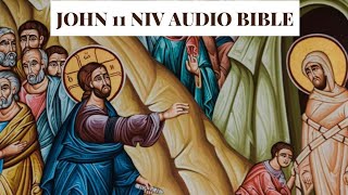John 11 NIV AUDIO BIBLE(with text)