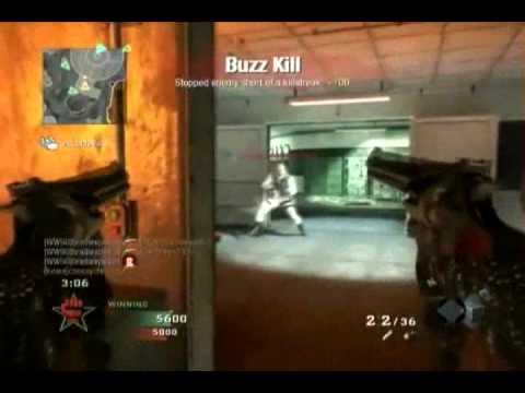 Bradsnipsalot - Array: Akimbo Python Killstreak With Matrix Intro