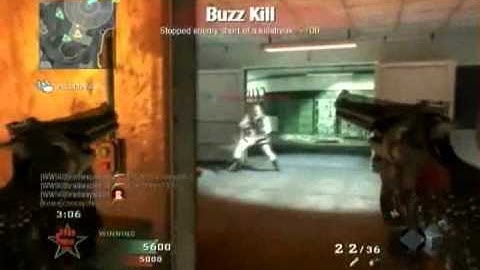 Bradsnipsalot - Array: Akimbo Python Killstreak With Matrix Intro