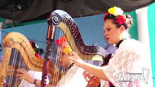 Festival Internacional del Arpa - El Arpa en Manos de Mujer - Canto a Veracruz