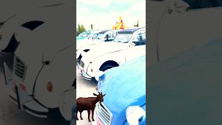 Hoe many goats do you count? - 2cv Citroën car Wealth