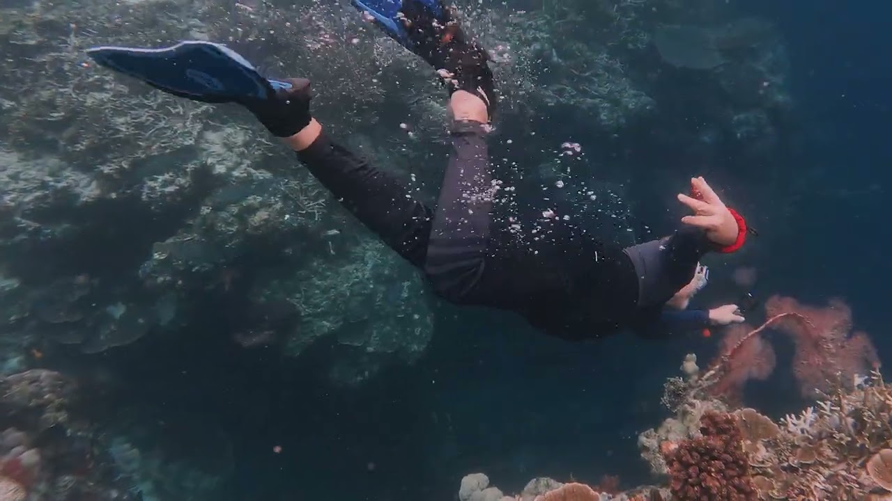 Part 5 Misool Karawapop