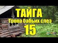 ОТШЕЛЬНИКИ | ЖИЗНЬ В ТАЙГЕ  15 из 16