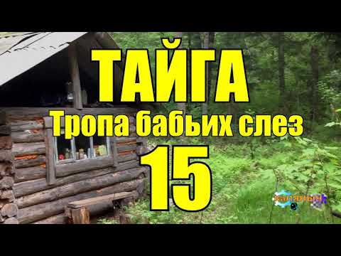 ОТШЕЛЬНИКИ | ЖИЗНЬ В ТАЙГЕ 15 из 16