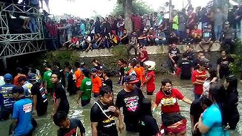 New pallapa goyang damai jombang